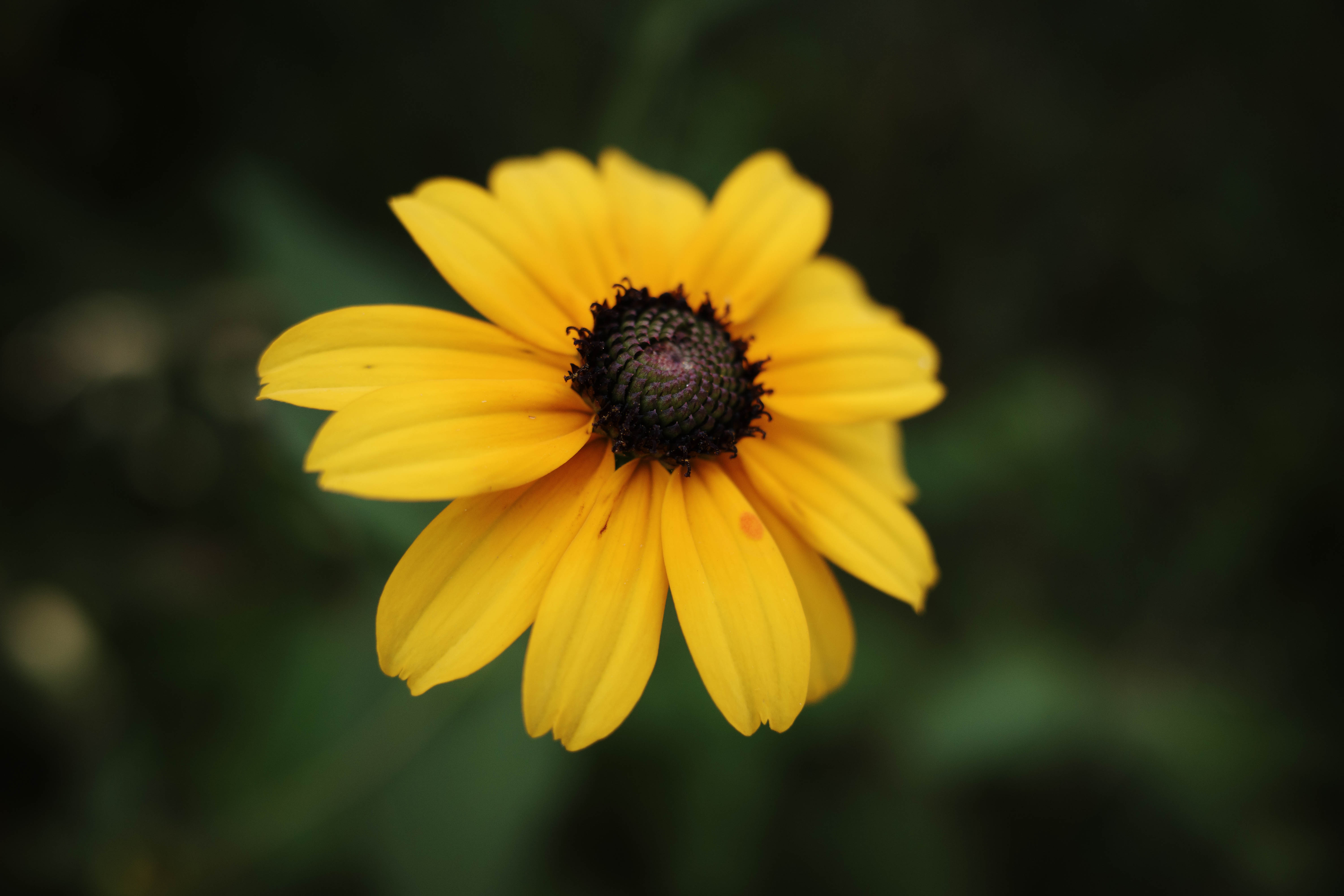 Photo Of The Week – August 5, 2025